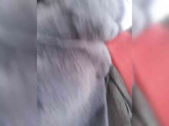 online web cam porn Raisin