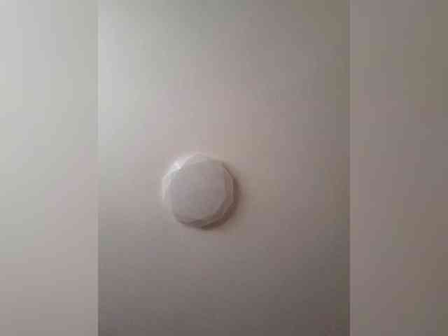 N-I-M-F-O-M-A-N-K-A webcam