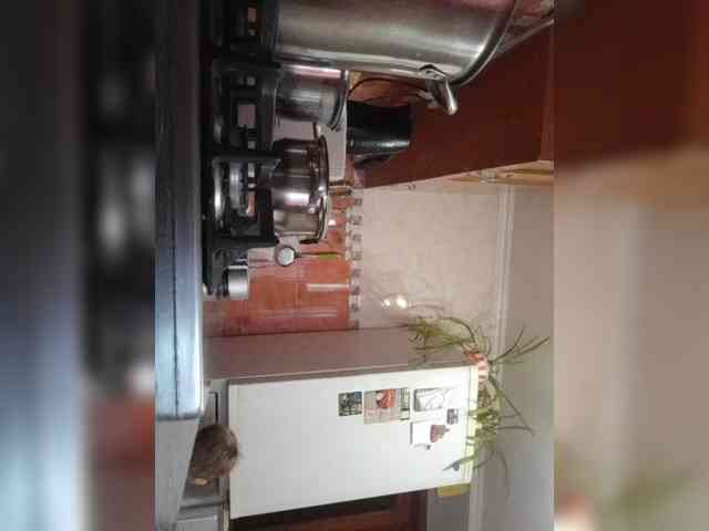 Raisin Live Webcam on BongaCams