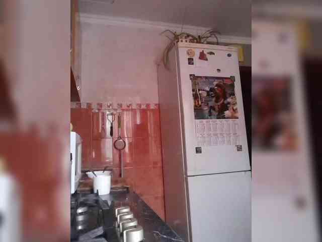 N-I-M-F-O-M-A-N-K-A webcam