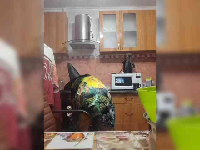 N-I-M-F-O-M-A-N-K-A webcam