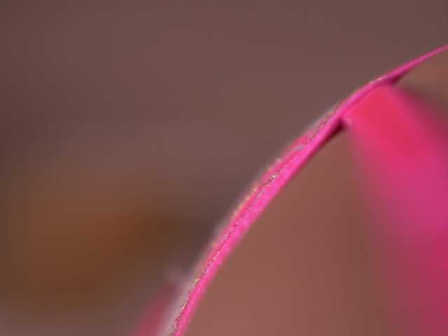 Sex chat gratuit in direct cu BlairSander pe BongaCams