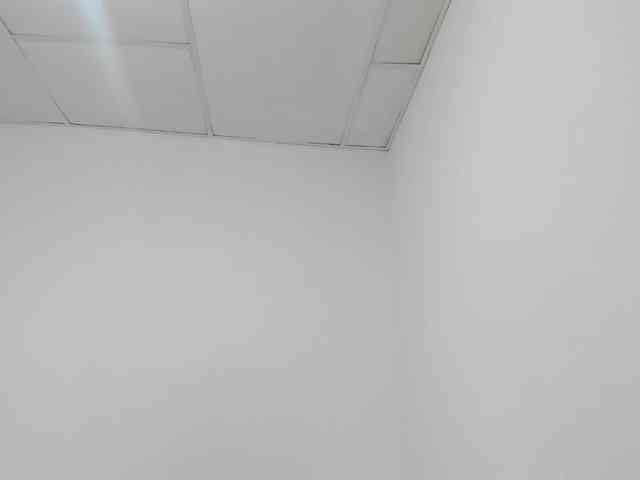 adult web chat STARKIARA