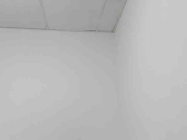 STARKIARA webcam