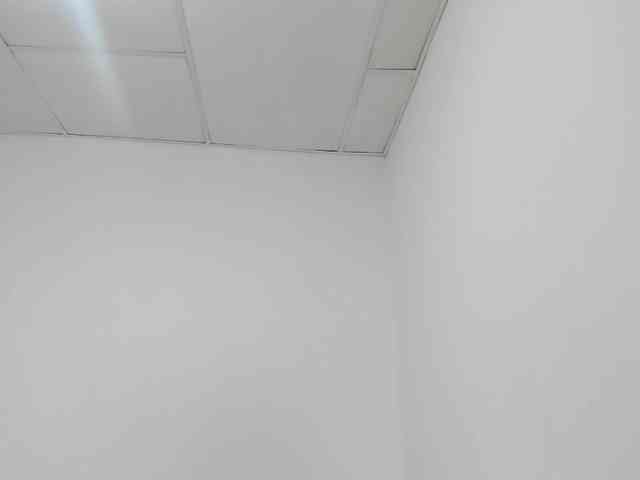 STARKIARA webcam