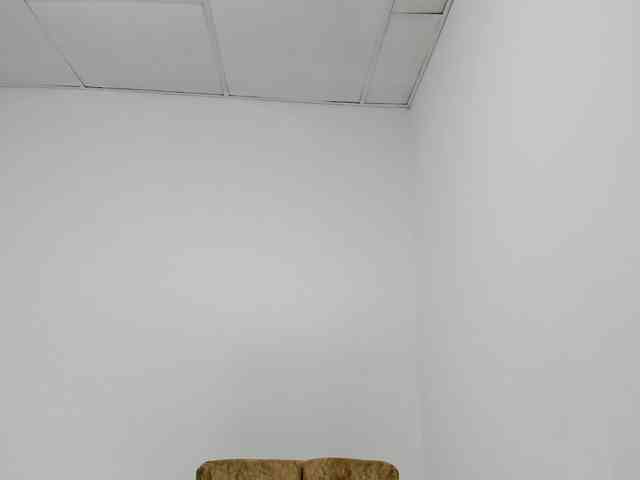 STARKIARA webcam