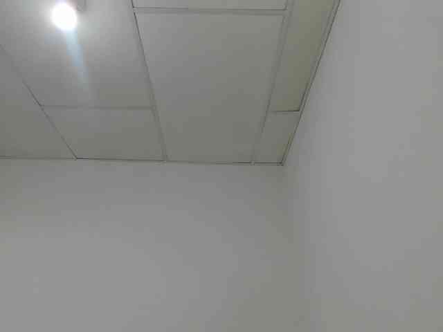STARKIARA webcam