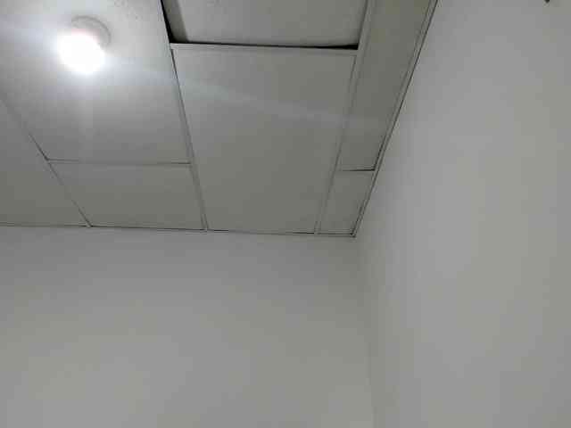 STARKIARA webcam