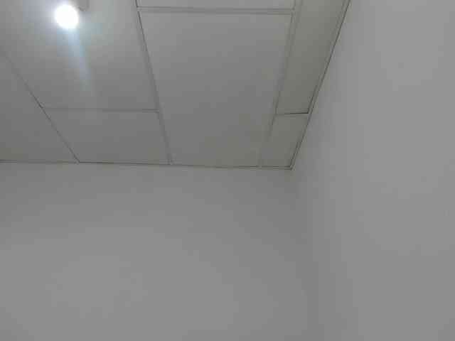 STARKIARA webcam