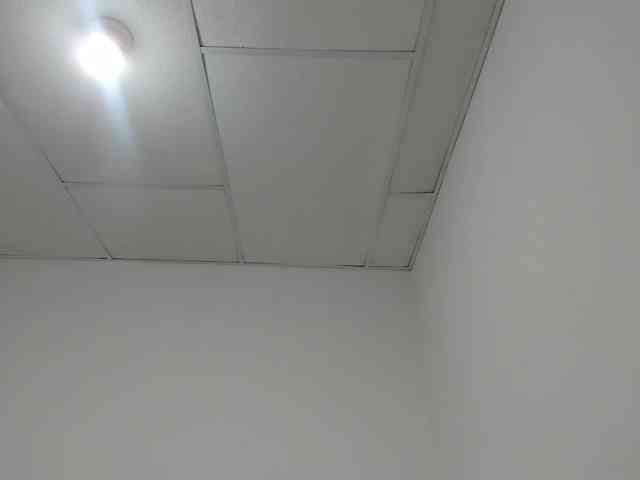 STARKIARA webcam