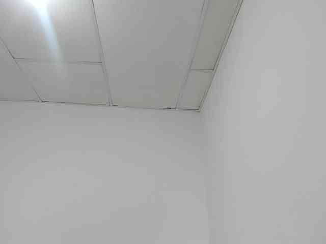 STARKIARA webcam