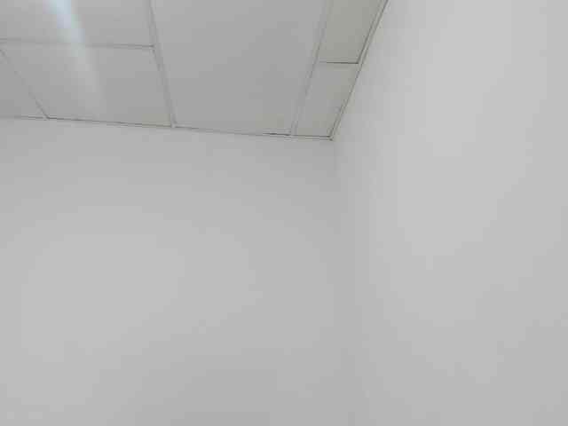 STARKIARA webcam