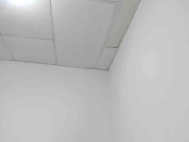 STARKIARA webcam