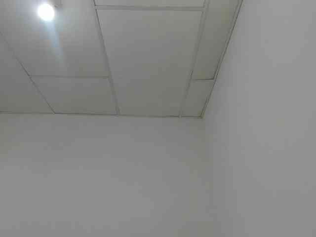 STARKIARA webcam