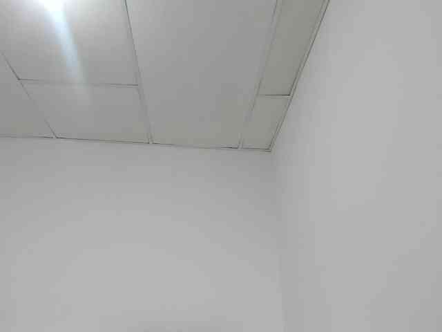 STARKIARA webcam