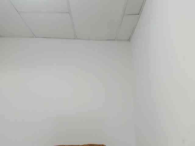 STARKIARA webcam