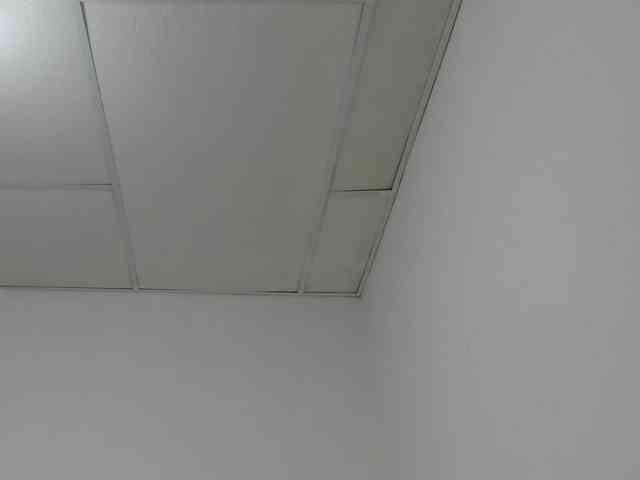 STARKIARA webcam