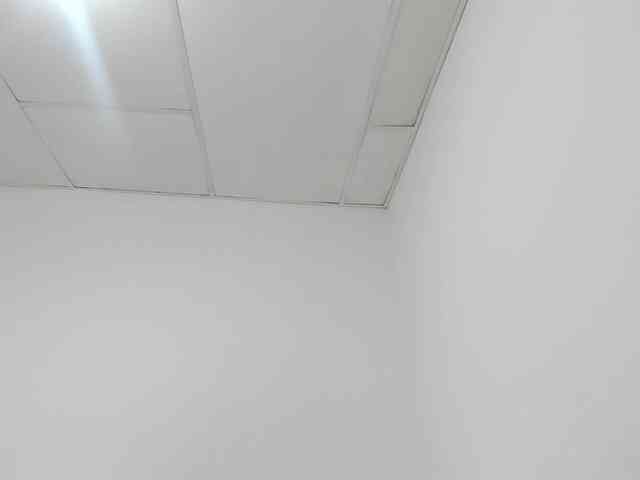 STARKIARA webcam