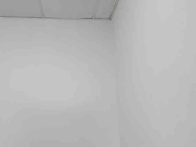 STARKIARA webcam