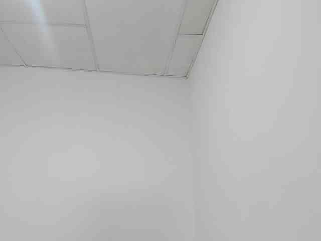 STARKIARA webcam
