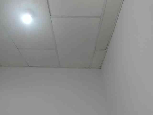 STARKIARA webcam