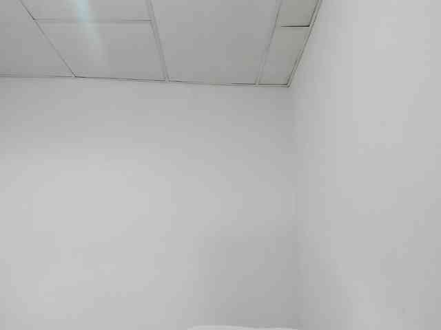 STARKIARA webcam