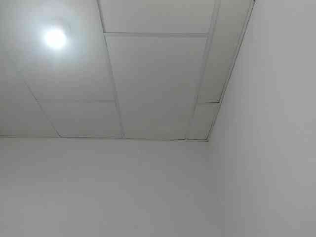 STARKIARA webcam