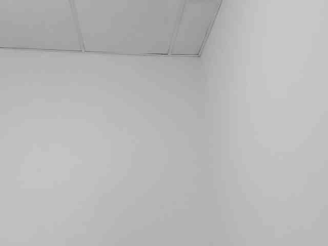 STARKIARA webcam