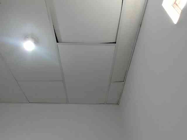 STARKIARA webcam