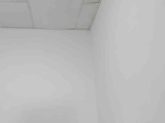 STARKIARA webcam