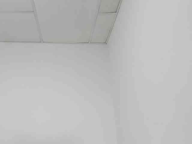 STARKIARA webcam
