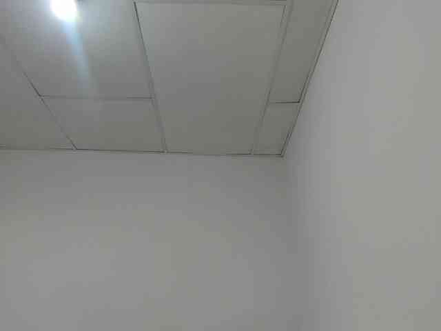 STARKIARA webcam