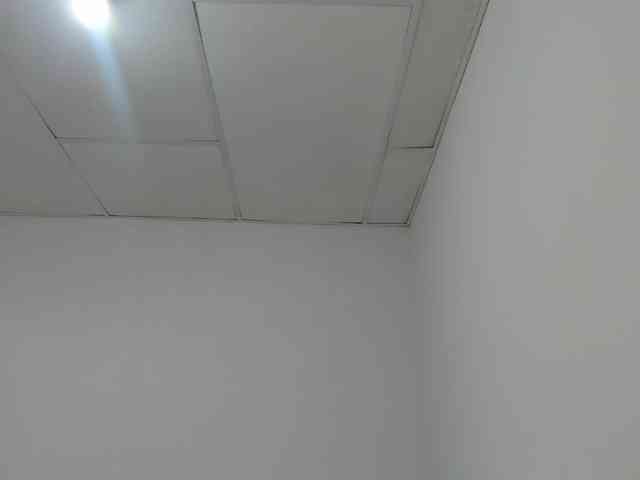 STARKIARA webcam