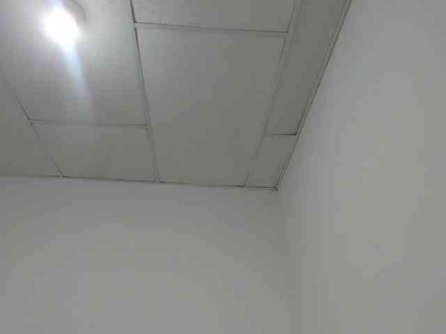 STARKIARA webcam