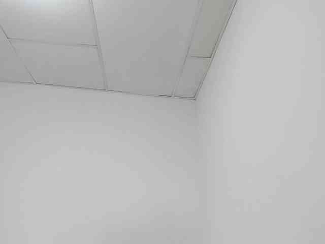STARKIARA webcam