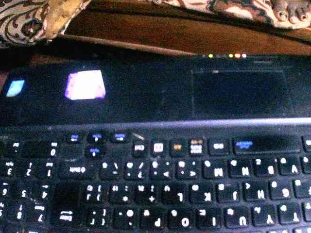 jaddennn webcam