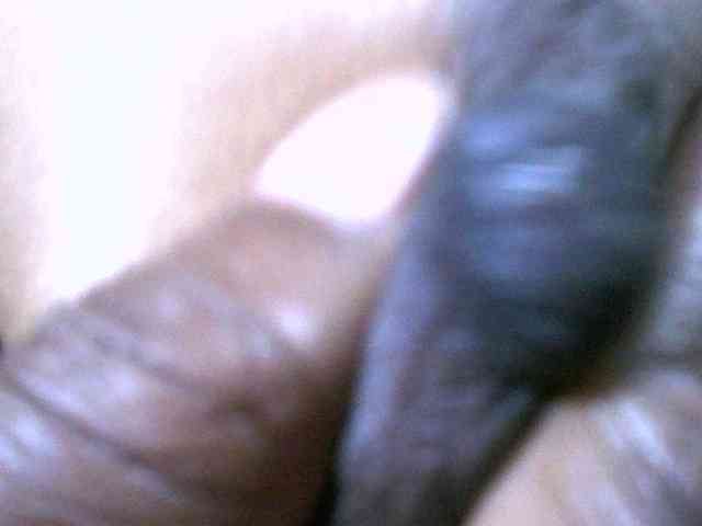richita webcam