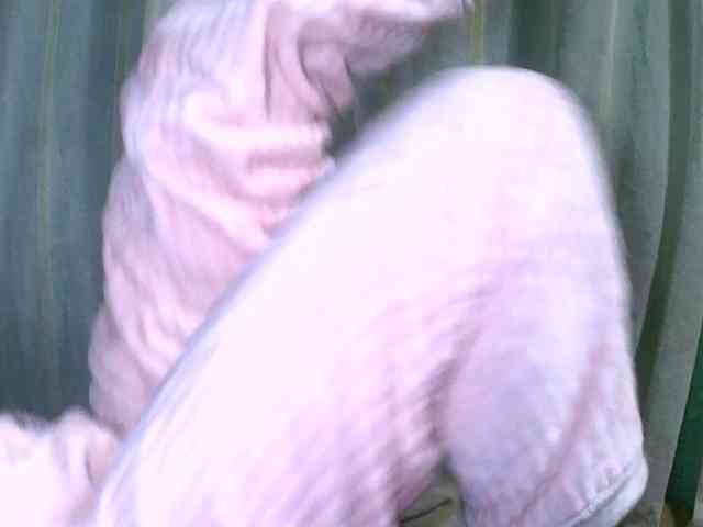 vanicca webcam