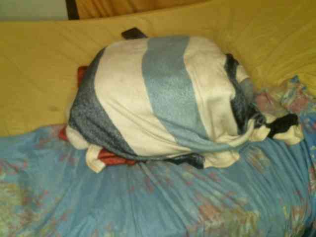 BLACKQUEEN344 webcam