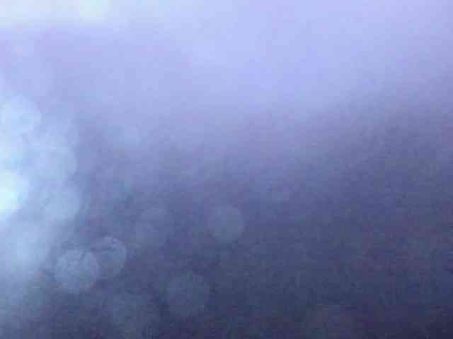 MarianaThompson webcam