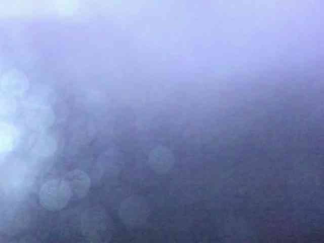 MarianaThompson webcam