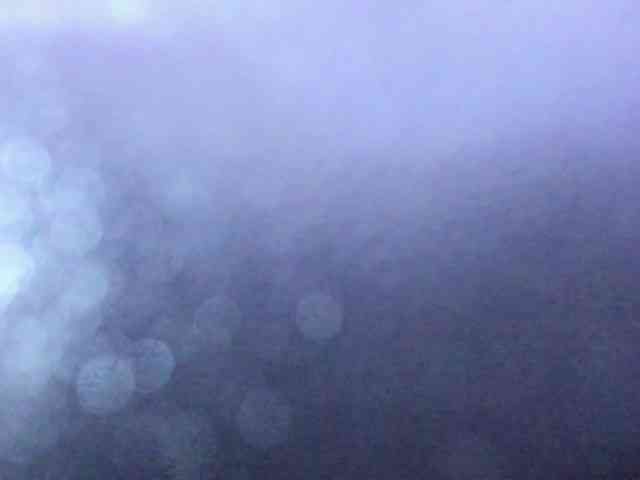 MarianaThompson webcam