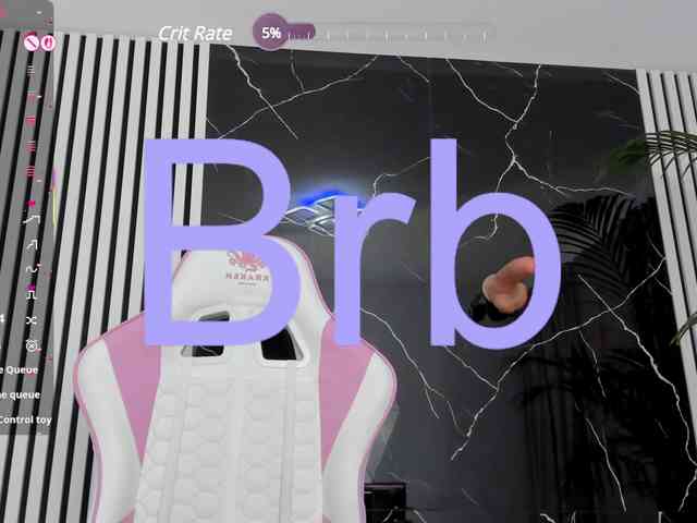 Theajoy webcam