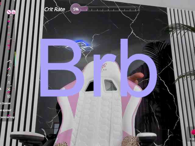 Theajoy webcam