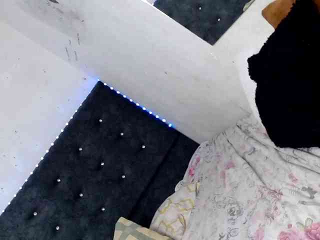 Danielaxxx1 Danielaxxx1