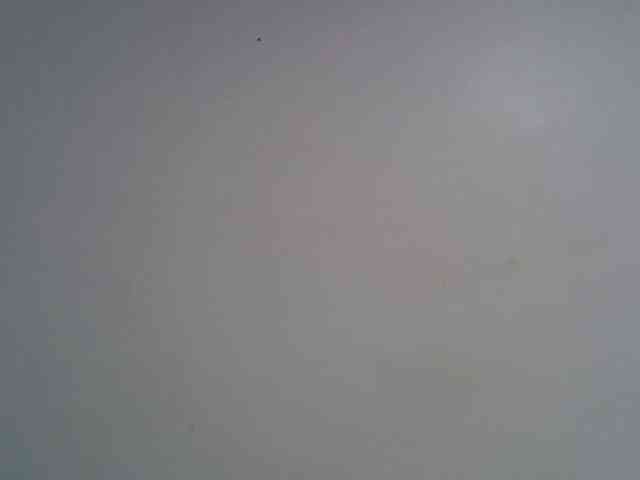 jesicakimani webcam