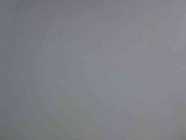 jesicakimani webcam