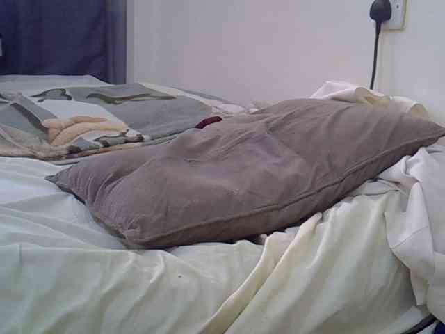 jesicakimani webcam