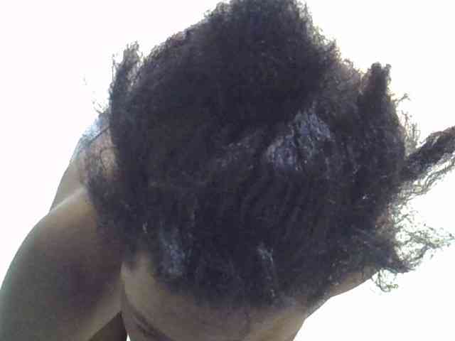 jesicakimani webcam