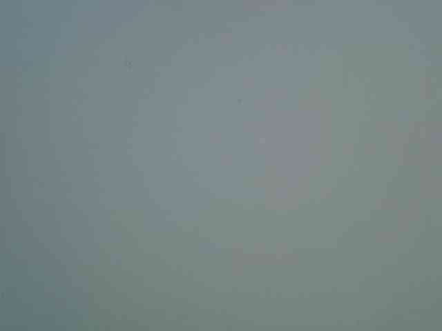 jesicakimani webcam